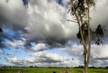 Rookie连续五场比赛得分超过领先优势明显，切尔西不断突破！的简单介绍